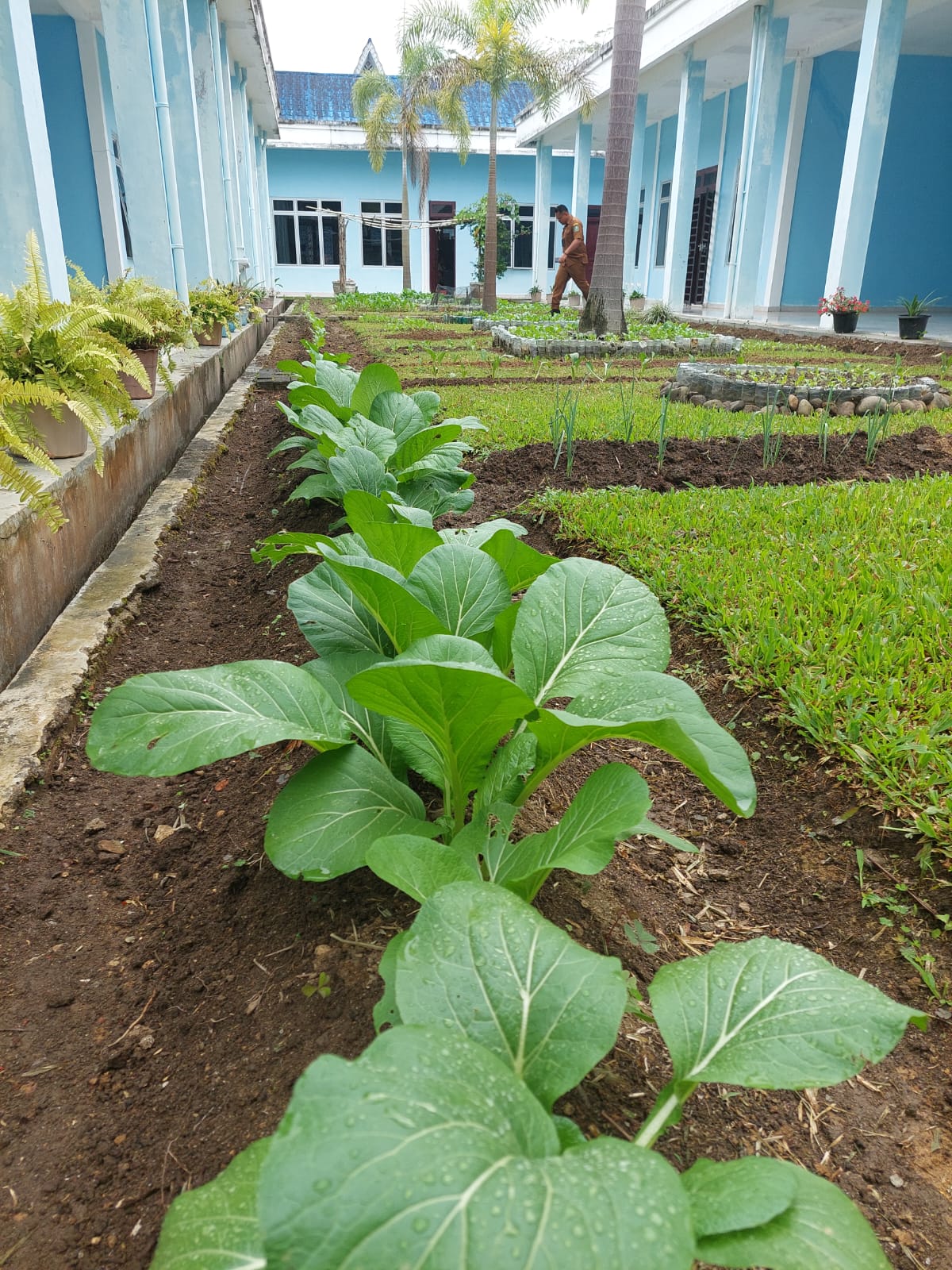 WhatsApp-Image-2022-10-24-at-15.18.46